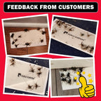 Mouse Traps, 20 Pack Pre-Baited Sticky Mouse Traps Indoor For Home, Non-Toxic Bulk Sticky Pads, Glue Traps For Rats, Bugs, Spider, Mice, Cockroach, Pet Safe, Easy To Use