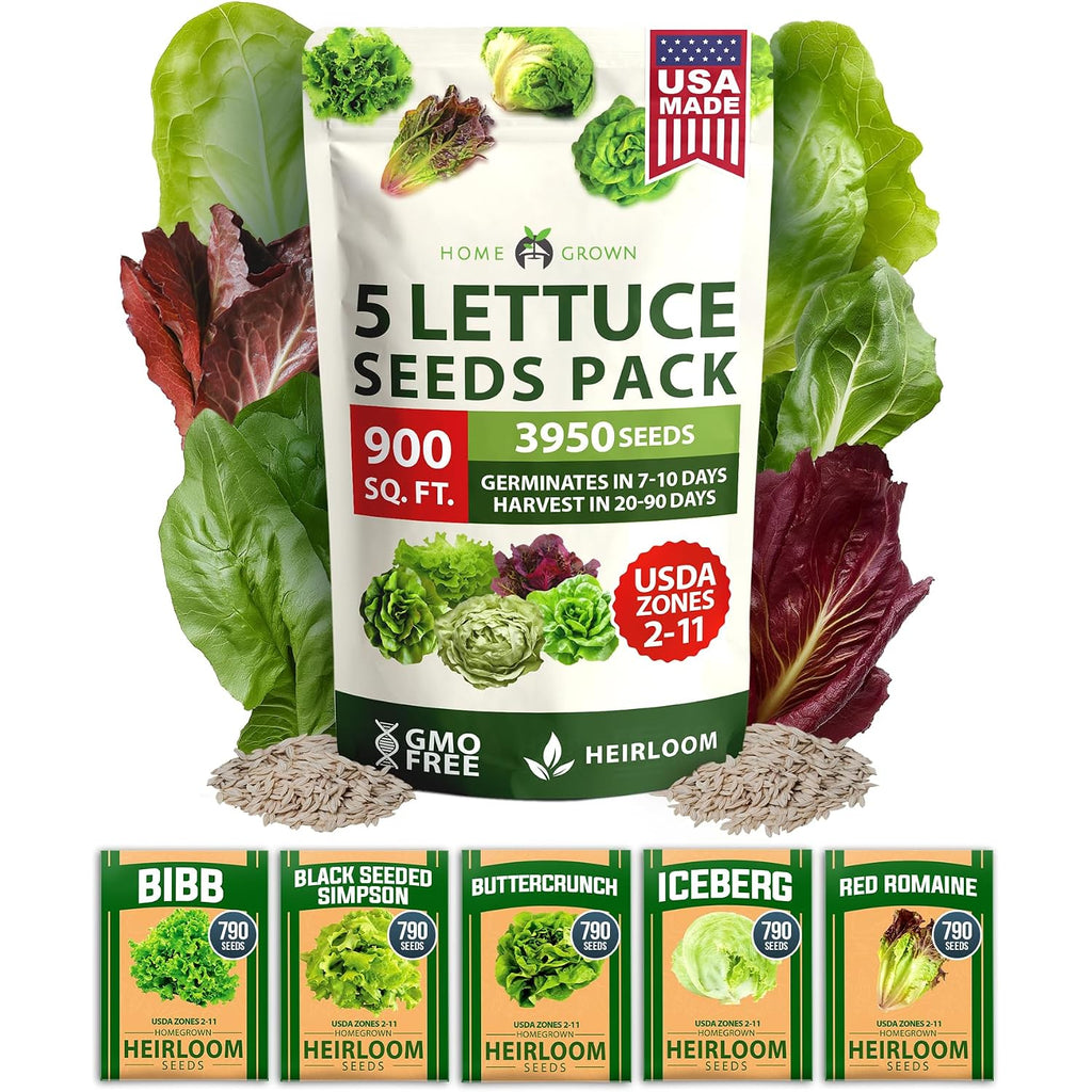 Home Grown Lettuce Seeds 5 Variety Mix 3950+ Bulk Pack Heirloom Non-Gmo, High Germination, Romaine, Bibb, Buttercrunch, Iceberg, Black Seeded Simpson, Indoor Outdoor Hydroponic Garden (Lactuca Sativa)