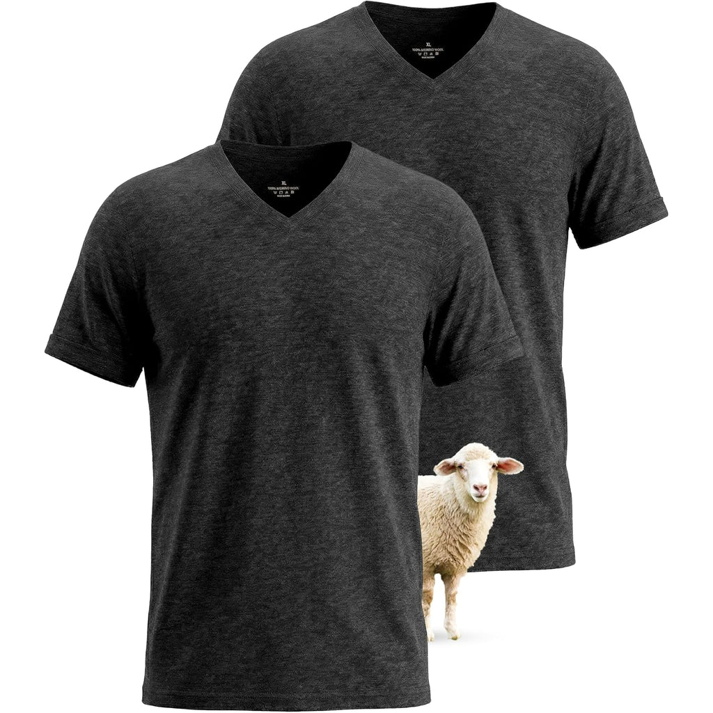 2 Pack Merino Wool T Shirts For Men, V-Neck Wool Base Layer, Breathable Undershirt For Travel, Fitness