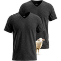 2 Pack Merino Wool T Shirts For Men, V-Neck Wool Base Layer, Breathable Undershirt For Travel, Fitness