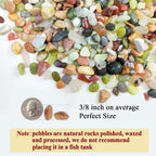 Succulent Rocks, 3/8 Inch Polished Pebbles For Indoor Plants, Decorative River Rocks For Plants Indoor, Vase Fillers, Cactus Planters, Bird Bath, Fountain, Outdoor Garden Landscaping