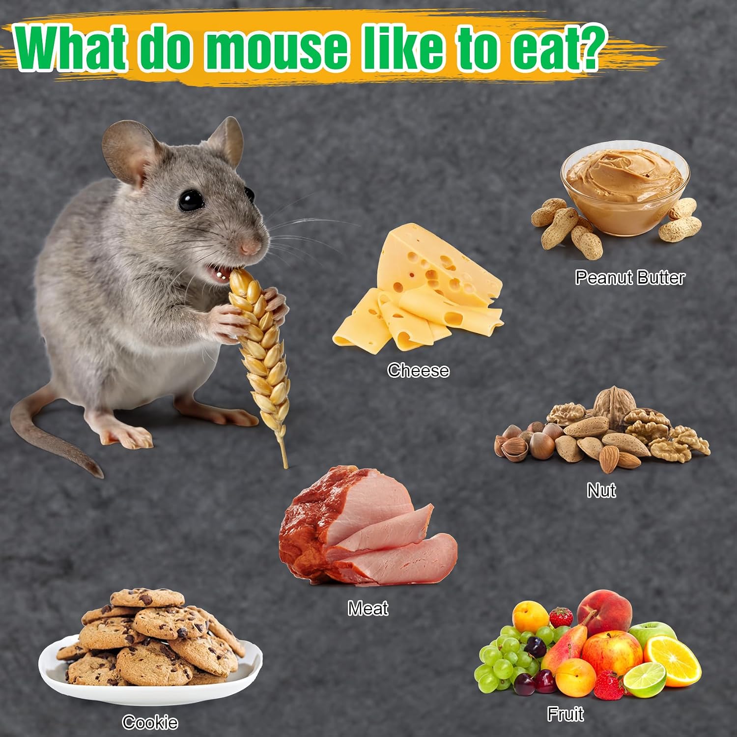 4 Pcs Humane Mouse Traps No Kill, Live Mouse Trap, Reusable Mice Trap Catch For House & Outdoors