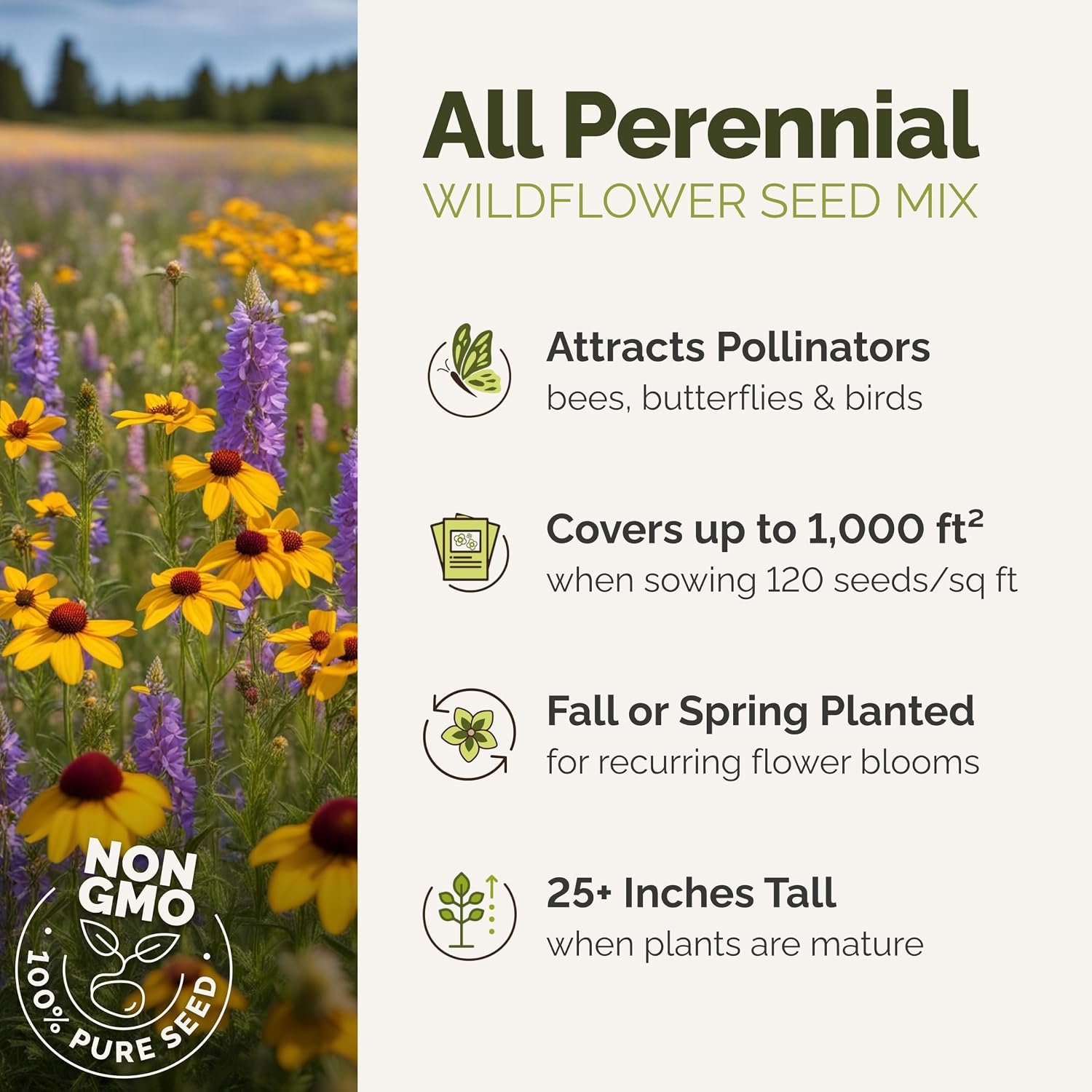 Eden Brothers All Perennial Wildflower Seed Mix For Planting, 1/4 Lb, 120,000+ Seeds Throw And Grow 19 Flower Varieties, Non-Gmo Covers To 1,000 Sq Ft, Attracts Pollinators, Spring Or Fall, Zones 3-10