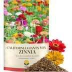 Zinnia Seeds – California Giants Mix – 4,000+ Seeds – 1 Oz Bulk Extra Large Resealable Packet – Premium Heirloom Zinnia Elegans Seeds With Giant Blooms In Vibrant Colors