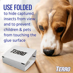 Terro Spider & Insect Trap, 10-Pack Sticky Glue Traps | Kills Roaches, Spiders, Ants, Cockroaches, Crickets, Indoor Bug Catcher Pest Control Traps, 4.25 In X 10 In, T3206-10