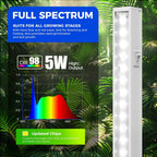 Barrina T5 Grow Lights For Indoor Plants, 5000K Full Spectrum, 1Ft Led Growing Lamp, Plant Light Strip, For Seed Starting, Vegetables, Plug And Play, 4-Pack
