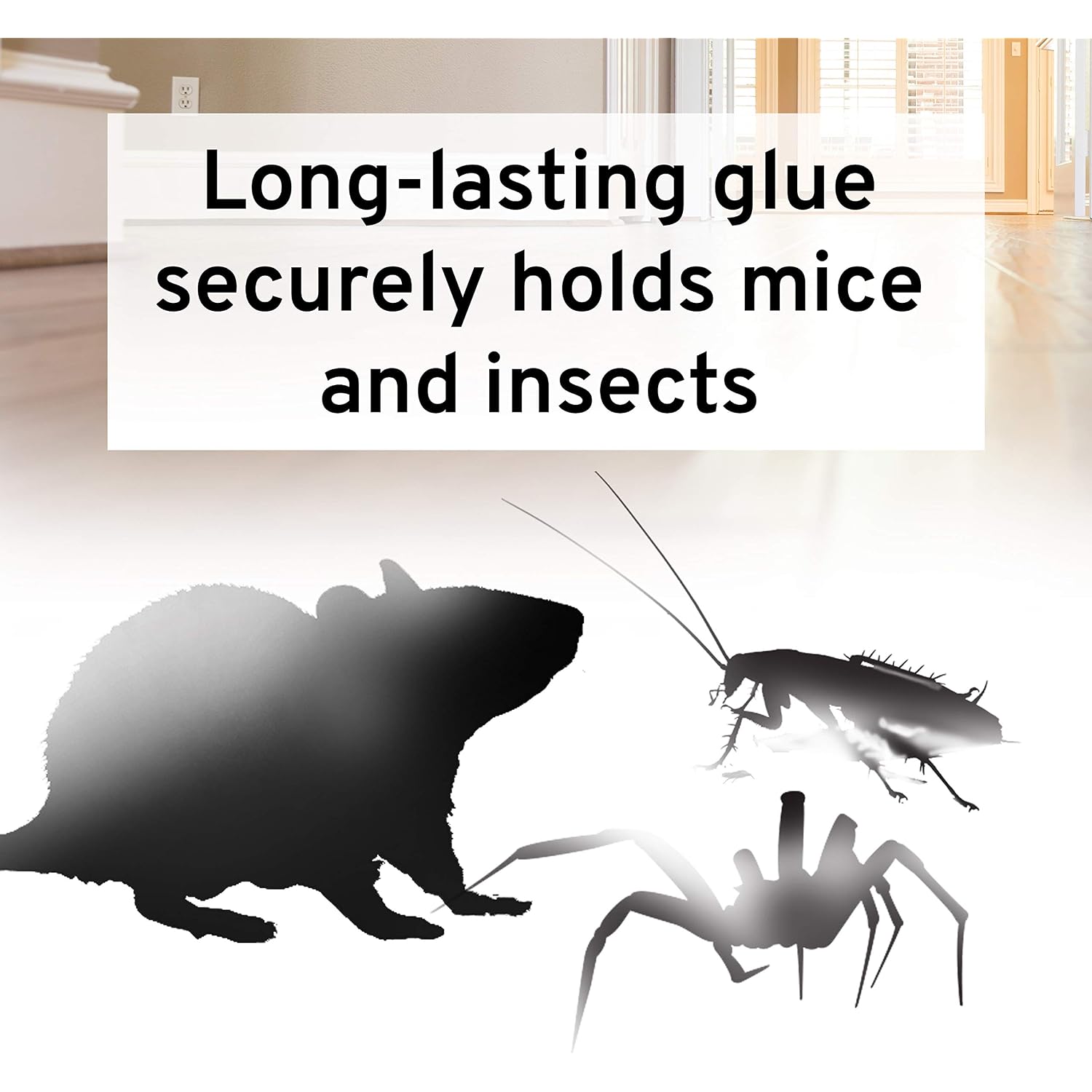 Victor M309 Professional Glue Boards For Insect And Rodent Monitoring - 72 Glue Boards