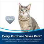 Bissell Aeroslim Cordless Handheld Vacuum, 29869
