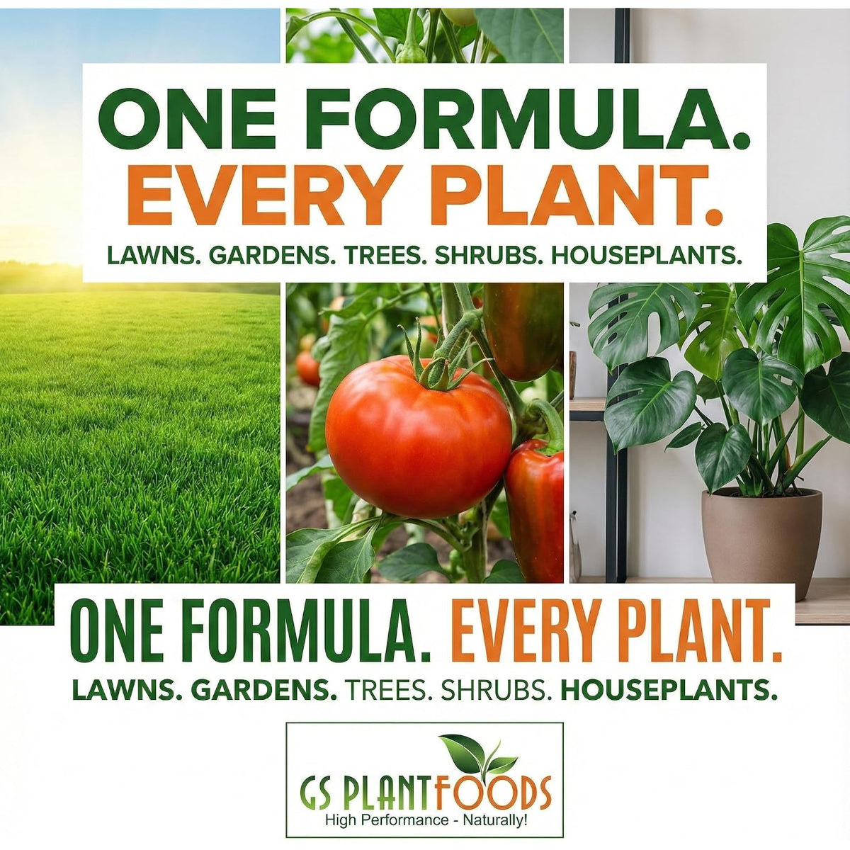 Gs Plant Foods Liquid Kelp Fertilizer – Suitable For Organic Growing, Omri Listed Seaweed Concentrate For Lawns, Gardens & Soil - 1 Gallon (Makes Up To 800+ Gallons)