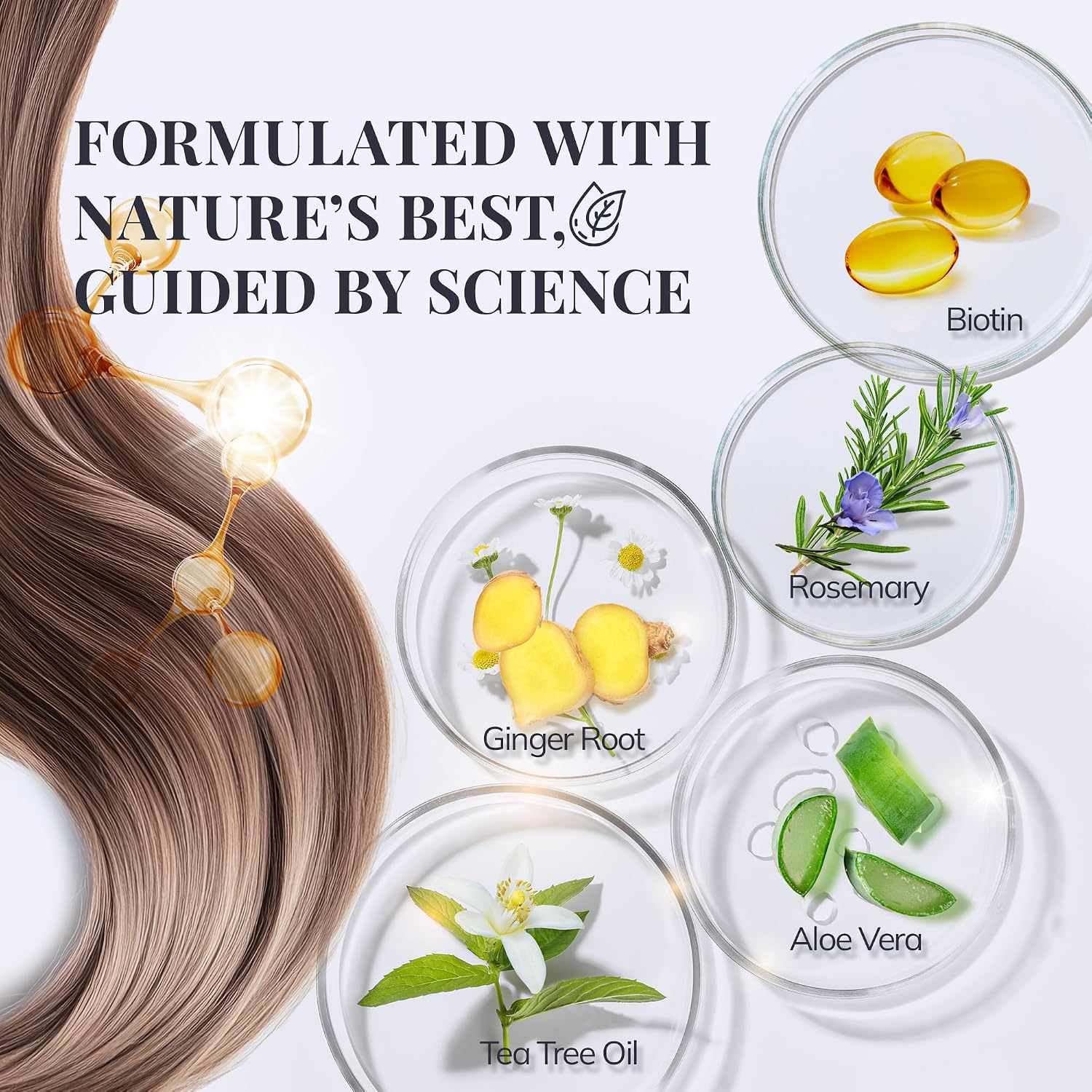 Biotin & Rosemary Shampoo For Hair Growth: Hair Loss Shampoo For Thinning Hair Infused With Natural Nutrient Rich Ingredients For Hair Thickening Sulfate Free 10 Fl Oz