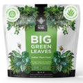 Big Green Leaves Indoor Plant Food – 4X Concentrated Fertilizer, 1 Lb | Fast-Acting Mineral + Organic Sea Kelp Formula. Makes 90 Gallons Of Liquid Fertilizer For Thriving Houseplants.