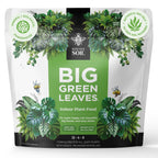 Big Green Leaves Indoor Plant Food – 4X Concentrated Fertilizer, 1 Lb | Fast-Acting Mineral + Organic Sea Kelp Formula. Makes 90 Gallons Of Liquid Fertilizer For Thriving Houseplants.