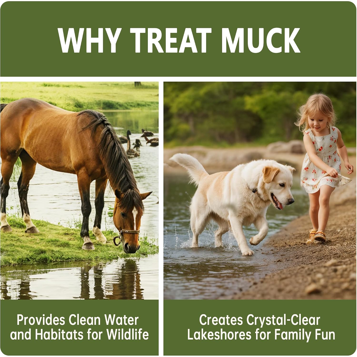 Muck Reducer - 5Lb Natural Sludge Solution Tablets For Ponds & Lakes, Away Muck & Odor Control, Safe For Aquatic Life, Wildlife & Recreation, Treats Up To 30,000 Sq Ft