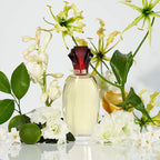 Paul Sebastian DESIGN Perfume For Women, Gift for Her, Day & Night Soft Floral Fragrance Spray, 3.4 oz