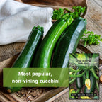 Sow Right Seeds - Black Beauty Zucchini Seeds For Planting - Non-Gmo Heirloom Packet With Instructions To Plant A Home Vegetable Garden - Summer Squash - Classic Zucchini Good For Large Containers (1)