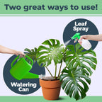 Monstera Plant Food – Liquid Fertilizer For Bigger Split Leaves, Lush Growth & Strong Roots, 8 Oz