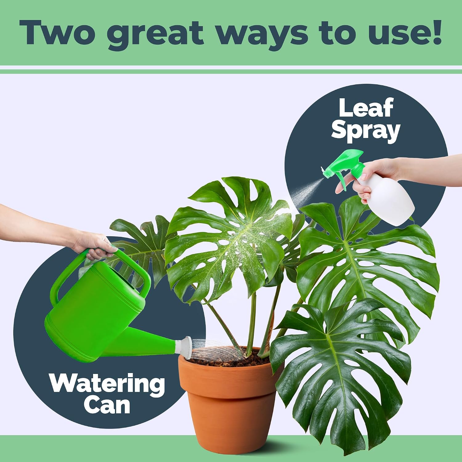 Monstera Plant Food – Liquid Fertilizer For Bigger Split Leaves, Lush Growth & Strong Roots, 8 Oz