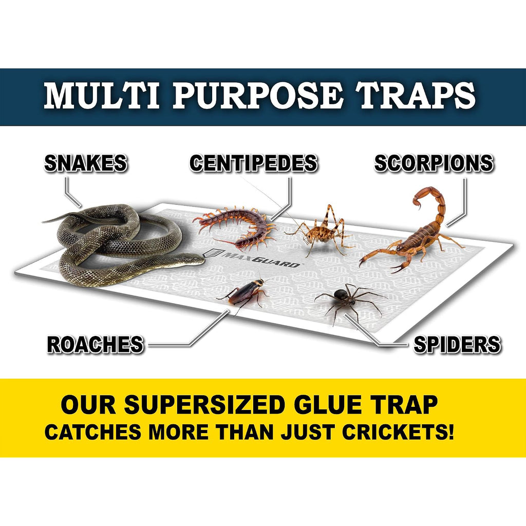 Maxguard Extra Large Cricket Traps (8 Traps) | Non-Toxic Extra Sticky Glue Board Pre-Baited Cricket Attractant Trap & Kill House Crickets, Insects, Spiders, Bugs