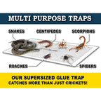 Maxguard Extra Large Cricket Traps (8 Traps) | Non-Toxic Extra Sticky Glue Board Pre-Baited Cricket Attractant Trap & Kill House Crickets, Insects, Spiders, Bugs