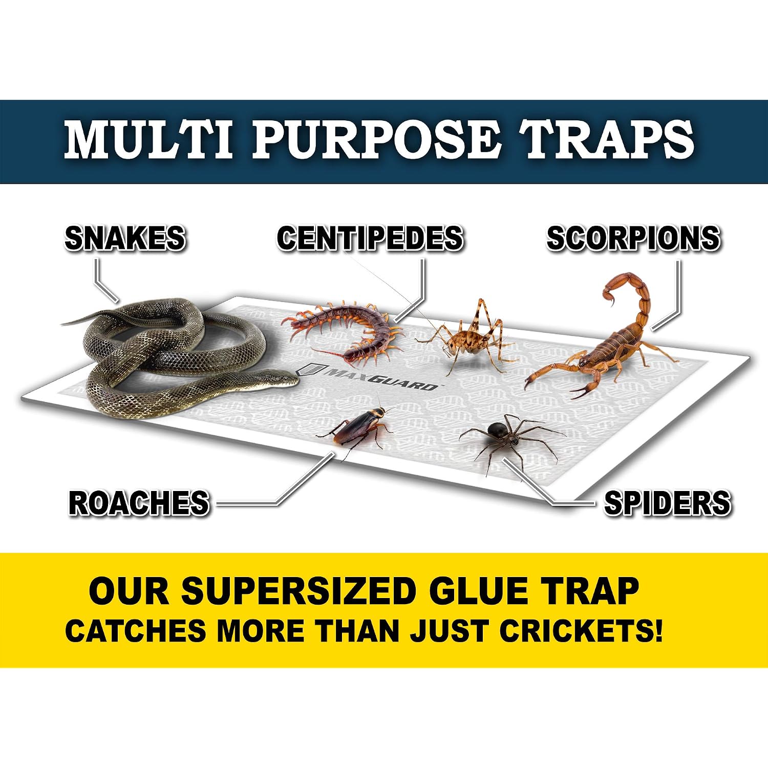 Maxguard Extra Large Cricket Traps (8 Traps) | Non-Toxic Extra Sticky Glue Board Pre-Baited Cricket Attractant Trap & Kill House Crickets, Insects, Spiders, Bugs
