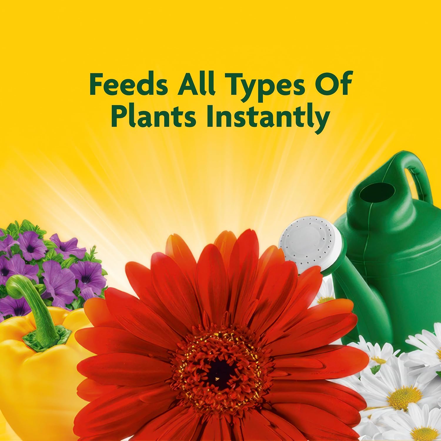 Miracle-Gro Liquid All Purpose Plant Food, Concentrate, 32 Oz. | Feeds Plants Instantly, For All Plant Types, Flowers, Vegetables, Trees, Houseplants