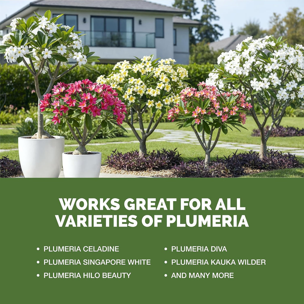 Plumeria Fertilizer – Liquid Plant Food For More Blooms, Healthy Tropical Growth & Stronger Root Development, 8 Oz