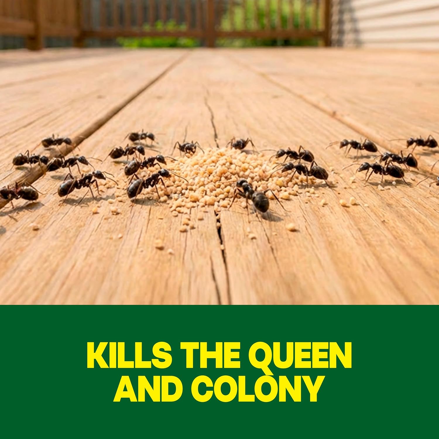 Raid Outdoor Liquid Ant Bait, Starts Killing Listed Ants Within 24 Hours, Effective Outdoors, Pre-Filled And Ready-To-Use, 8 Bait Stations Per Pack, 2 Fl Oz