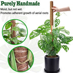4 Pack 22 Inch Moss Poles, Stackable Moss Pole For Plants Monstera, 70 Inch Tall Moss Poles For Climbing Plants Indoor, Coir Totem Plant Support Stakes Stand For Potted Plants, Pothos