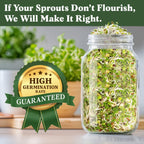 Organic Non-Gmo Sprouting Seeds, Fresh Salad Blend - Usa Grown Microgreens Mix With Alfalfa, Broccoli, Radish, Mung Bean & Lentil - 8 Oz Bag Makes 8 Quarts / 32 Servings (Salad Blend)