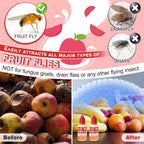 Qualirey 4 Pack Fruit Fly Trap Refill Liquid, 0.68Oz/ Bottle Liquid Fruit Fly Traps For Indoors Non Toxic Safe Near Food, Effective Lure Refill For Indoor And Kitchen Use, Red