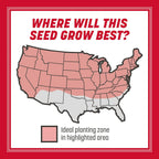Pennington The Rebels Tall Fescue, Tall Fescue Grass Seeds For Lawn, 7 Lb