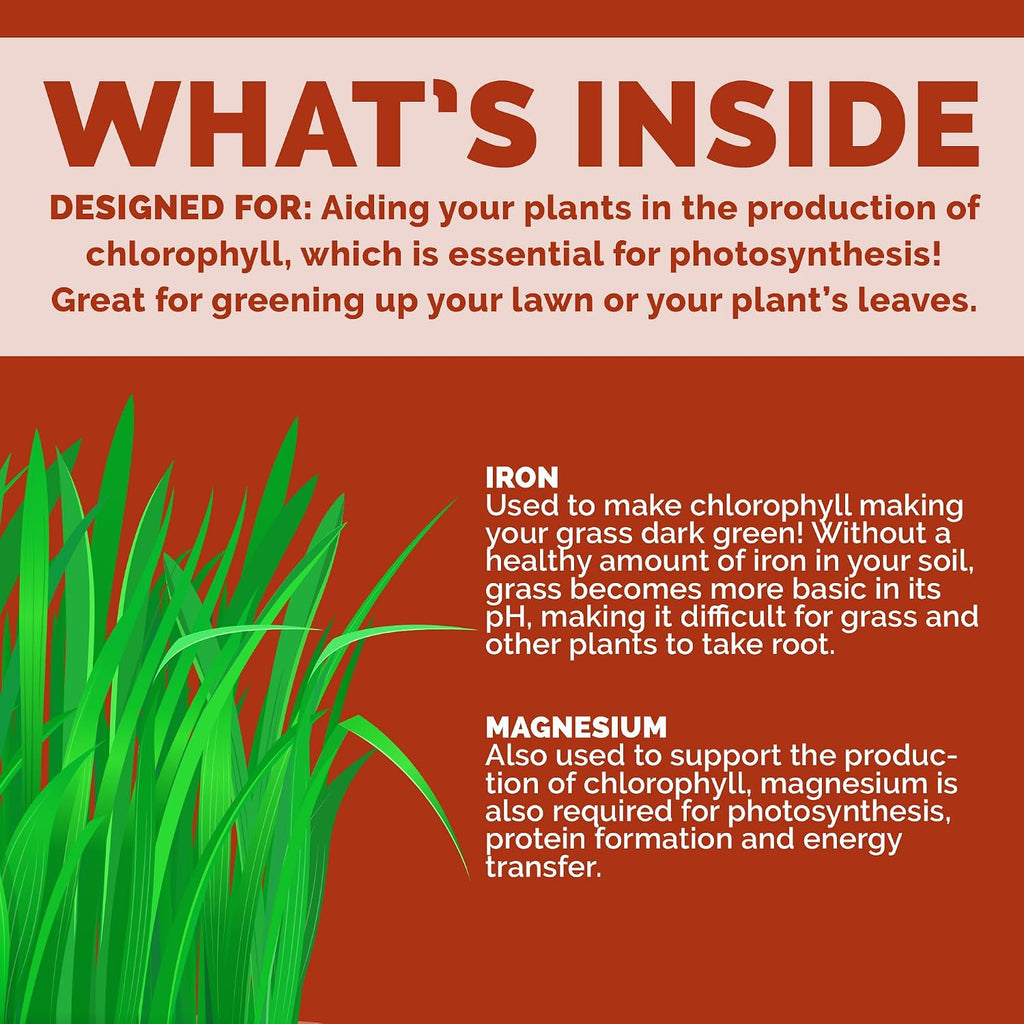 Chelated Liquid Iron – Bloom City Organic Iron Supplement For Lawns & Plants – 8 Oz