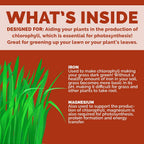 Chelated Liquid Iron – Bloom City Organic Iron Supplement For Lawns & Plants – 8 Oz