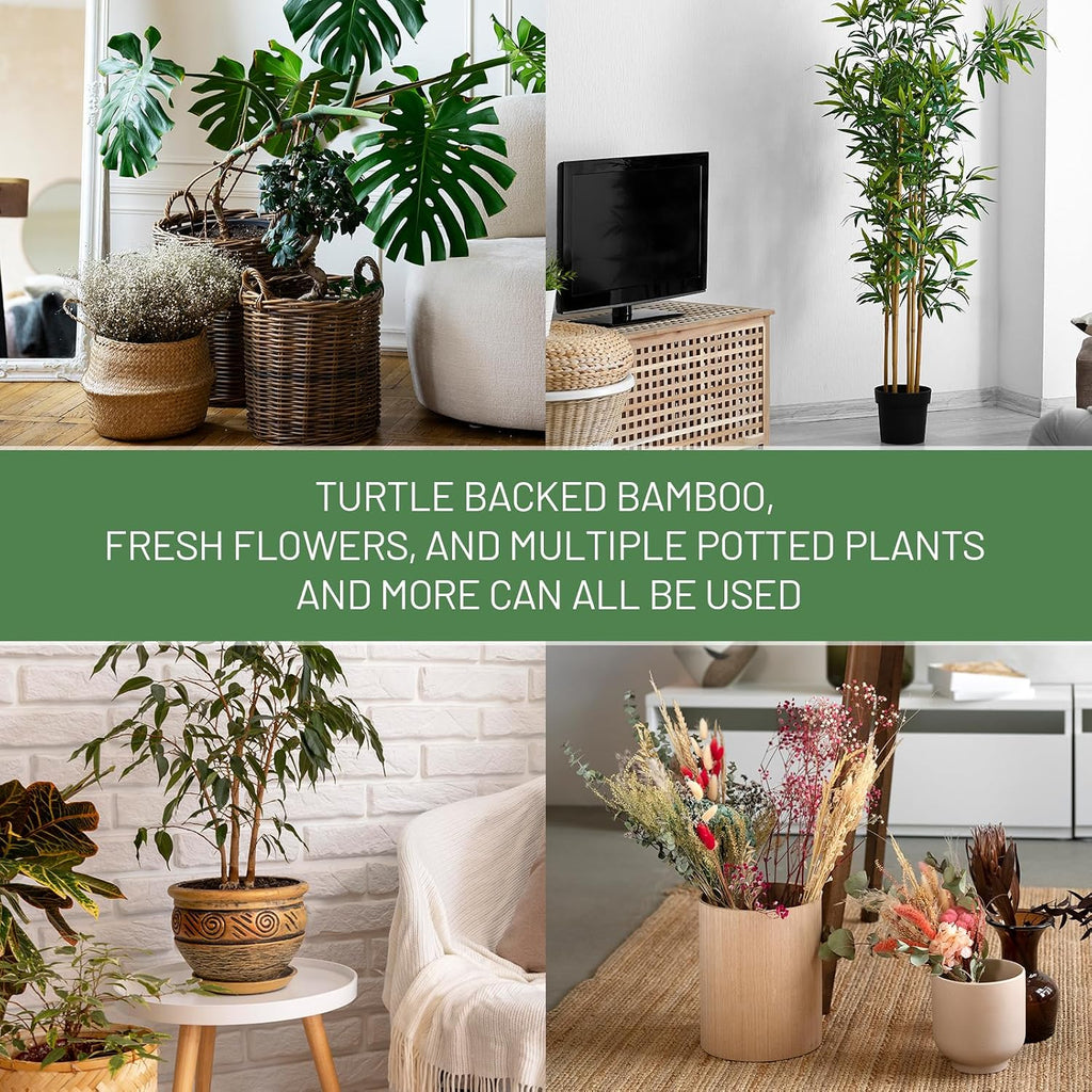 4Pcs Green Iron Monstera Support, Uniquely Designed Plant Support Stakes For Indoor Plants, Stable Plant Stakes And Supports, Turtle Shell Bamboo Clamp Set For Thriving Growth