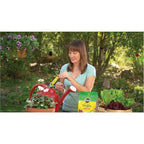 Miracle-Gro Watering Can Singles All Purpose Plant Food, 24 Packets | Water Soluble, Fertilizer For Flowers, Vegetables, Houseplants, Trees, Indoor And Outdoor Plants