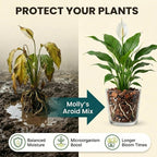 Molly'S Aroid Mix - Premium Soilless Potting Mix For Houseplants - Fast Draining, Chunky & Easier To Water Vs. Soil For Indoor Plants - With Bark, Coco Chips, Worm Castings, Mycorrhizae 10 Dry Quarts