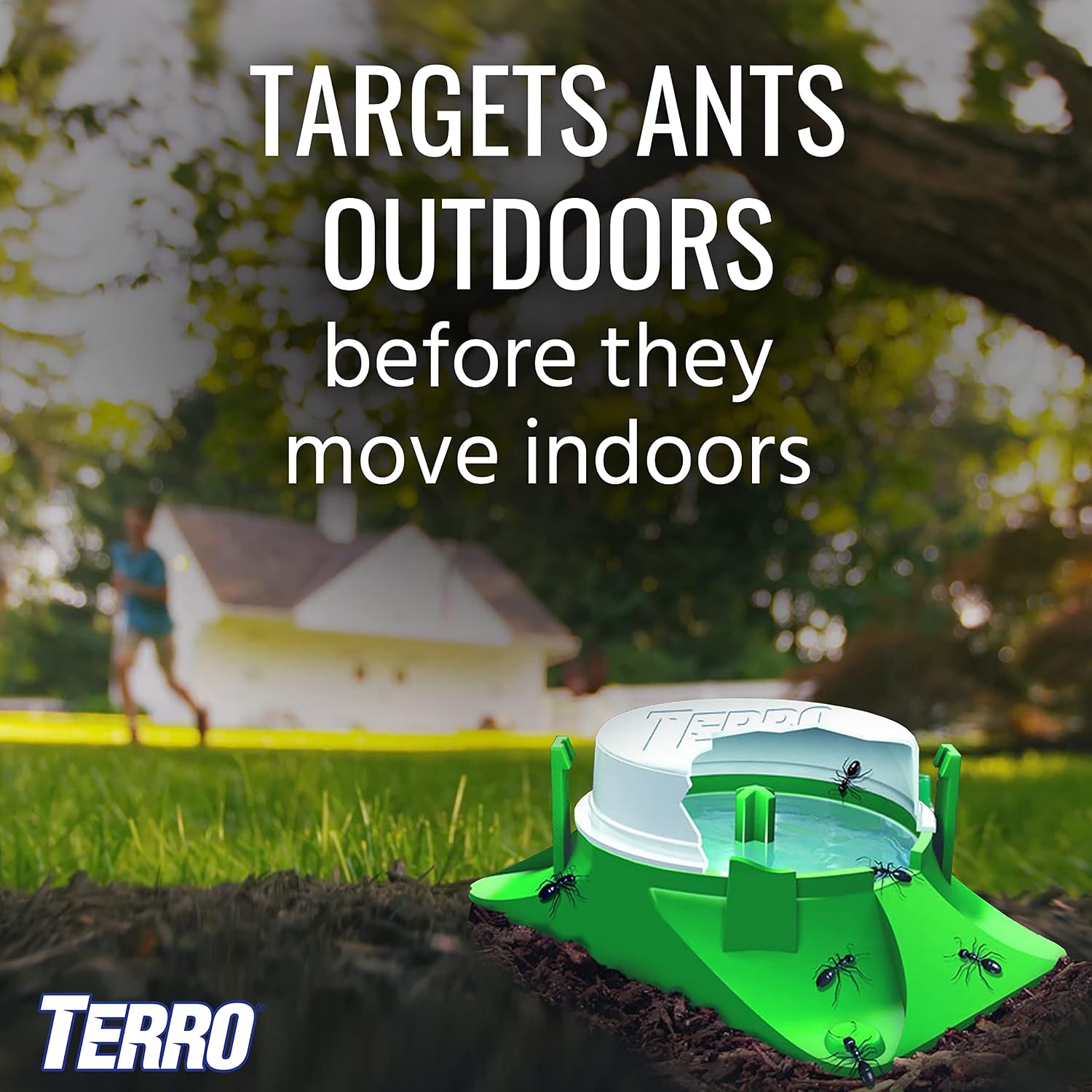 Terro T1804-6 Outdoor Ready-To-Use Liquid Ant Bait Killer And Trap - Kills Common Household Ants - 4 Bait Stations | Ready-To-Use Ant Killer Traps, Kills Common Household Ants Including Acrobat, Crazy, Ghost And Little Black Ants