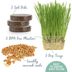 The Cat Ladies Cat Grass For Indoor Cats - Growing Kit - Organic Cat Grass Seeds, Soil And Bpa Free Containers (Non Gmo) - Locally Sourced Seeds! (3 Pack)