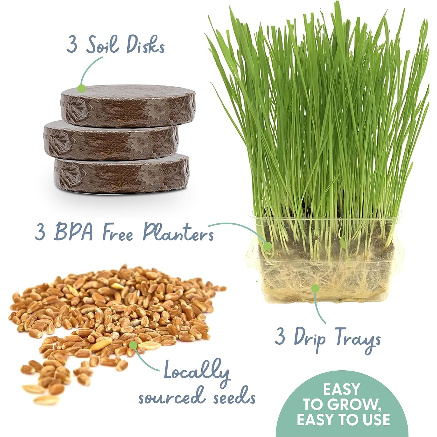 The Cat Ladies Cat Grass For Indoor Cats - Growing Kit - Organic Cat Grass Seeds, Soil And Bpa Free Containers (Non Gmo) - Locally Sourced Seeds! (3 Pack)