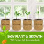 Bonsai Tree Kit, Bonsai Starter Kit With Seeds & Tools, Tree Live Plants Indoor, Gardening Gifts For Women Men Mom Father Plant Lover, Birthday Gifts For Women, Father Day Gifts