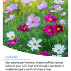 Burpee Wildflower 25,000 Bulk, 1 Bag 18 Varieties Of Non-Gmo Flower Seeds For Hummingbirds And Butterflies