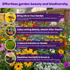 200,000+ Wildflower Seeds Bulk (4Oz) – 16 Varieties Perennial & Annual Mix, Attract Bees, Butterflies & Hummingbirds, High Germination For Outdoor Pollinator Garden, Unique Gift For Mother, Women, Mom