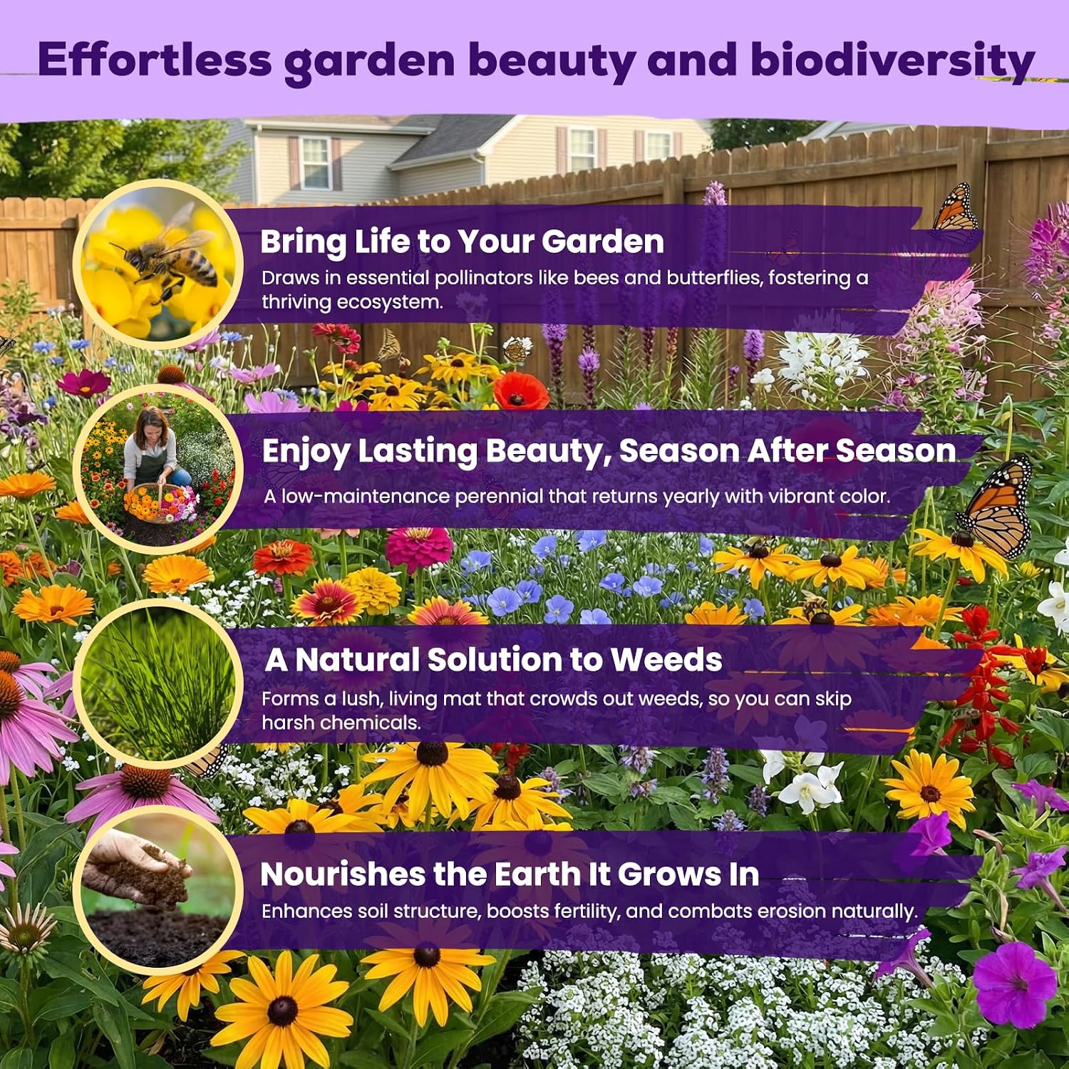 200,000+ Wildflower Seeds Bulk (4Oz) – 16 Varieties Perennial & Annual Mix, Attract Bees, Butterflies & Hummingbirds, High Germination For Outdoor Pollinator Garden, Unique Gift For Mother, Women, Mom