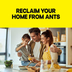 Raid Ant Killer Baits, Child Resistant Bug Killer For Indoor Home Use, 0.24 Oz, 8 Count