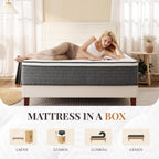 Queen Mattress, 12 Inch Queen Size Hybrid Mattresses In A Box, Medium Feel Foam And Individual Pocket Springs, Fiberglass Free Bed Mattress, Extra Edge Support, Pressure Relief, Certipur-Us