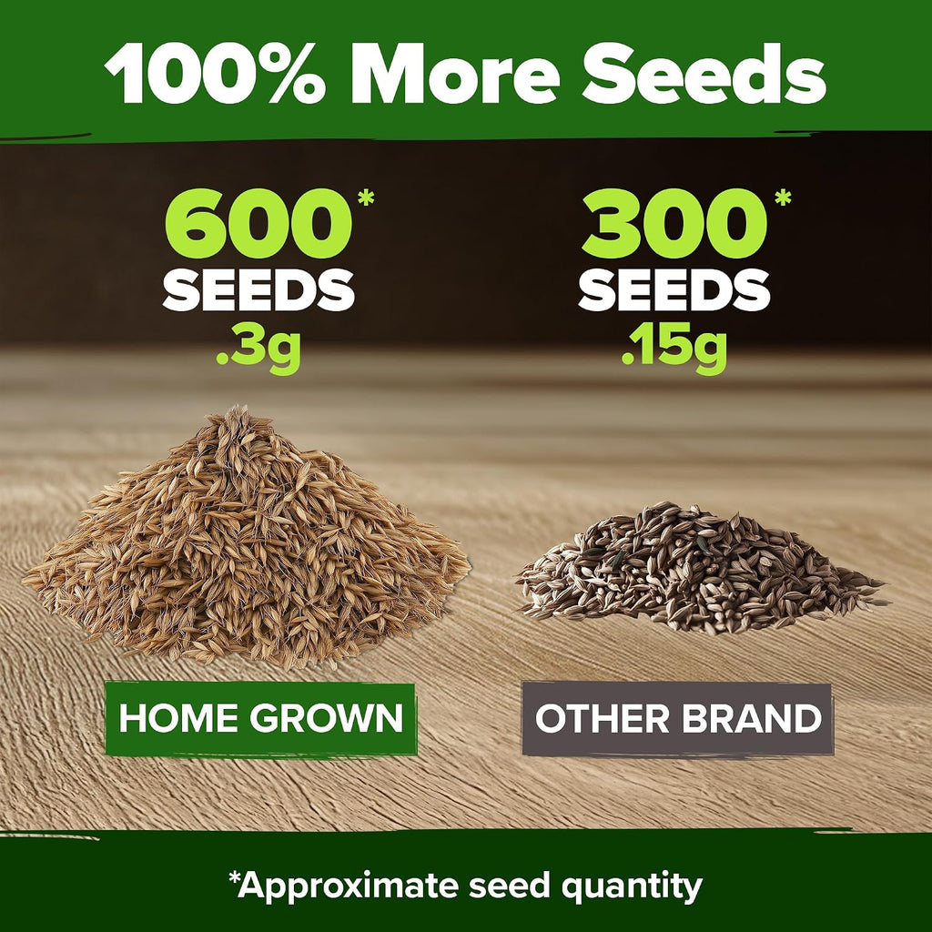 Home Grown Dandelion Seeds For Planting 600 Heirloom Medicinal Herb Seeds (~0.3G) Non Gmo Grow Edible Leaves And Flowers For Remedies Or Wildlife (Taraxacum Officinale)