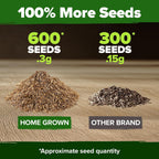 Home Grown Dandelion Seeds For Planting 600 Heirloom Medicinal Herb Seeds (~0.3G) Non Gmo Grow Edible Leaves And Flowers For Remedies Or Wildlife (Taraxacum Officinale)