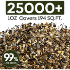 25,000+ Wildflower Seeds Mix 1 Oz, 24 Varieties Perennial & Annual Seeds For Hummingbirds And Butterflies, High Germination Flower Seeds Throw And Grow To Plant Outside, No Filler