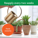 Miracle-Gro Succulent Plant Food - Liquid Fertilizer For Succulents And Cacti Including Jade And Aloe, Feed Every 2 Weeks - 8 Fl. Oz. (2 Pack)