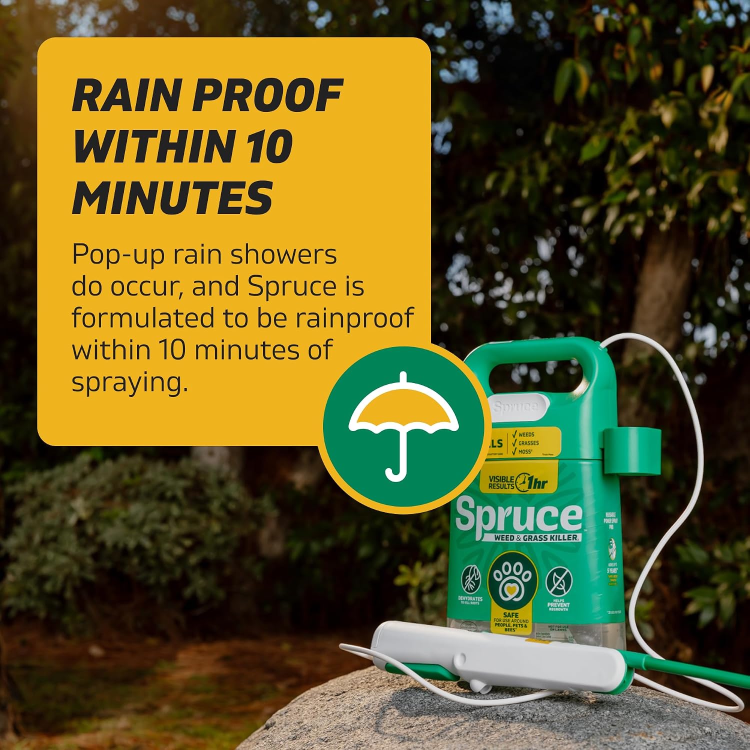 Spruce Weed Killer Refill For Spray Weed & Grass Killer₃ Kit, No Mix, 64 Oz | No Pour, No Mix, No Mess, Pet Safe Weed Spray, Use Around Grass, Driveways & Mulch Beds, Kills Dandelions, Crabgrass & More